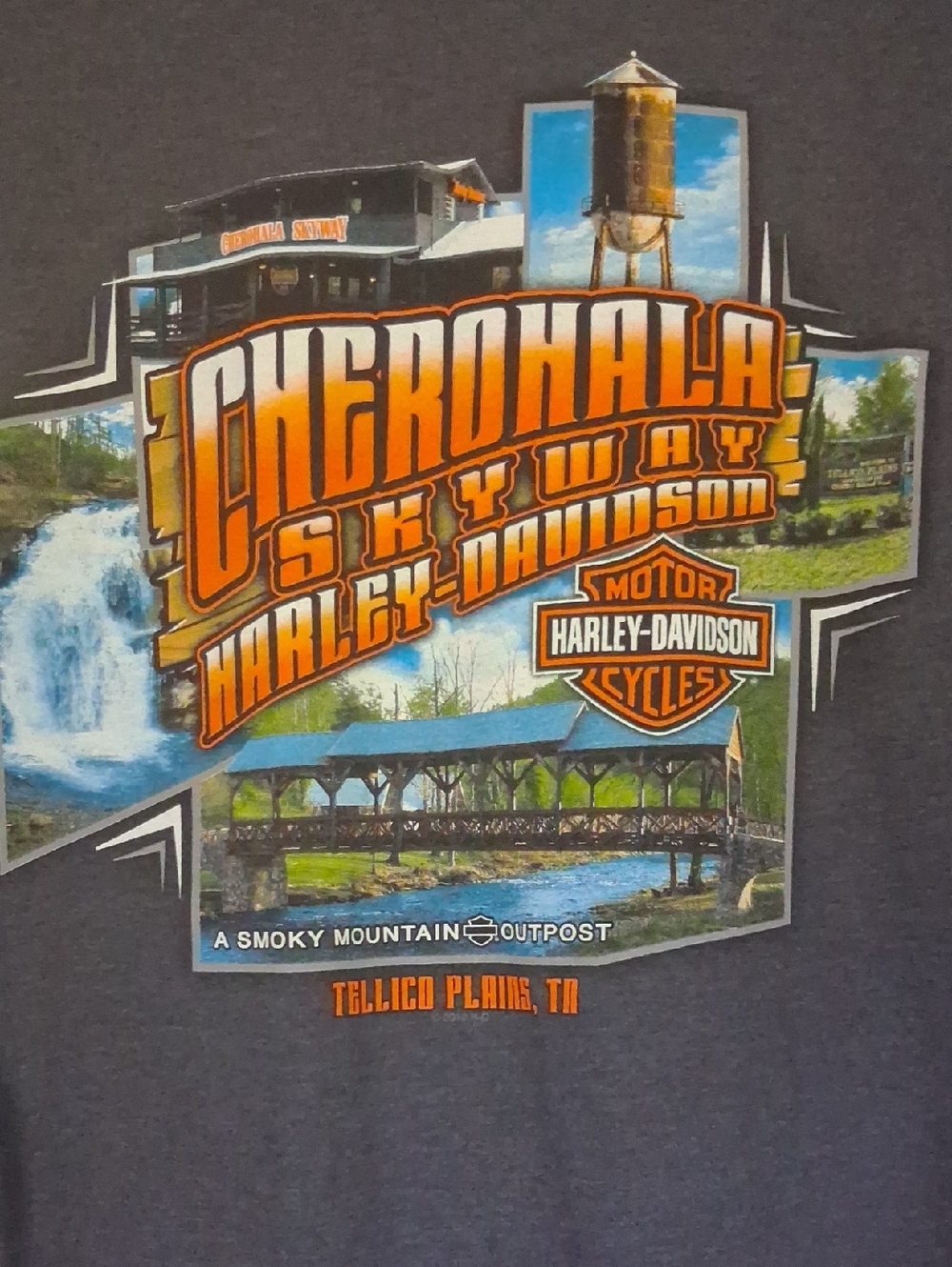 Harley-Davidson Charcoal Tee with Orange and Blue Scenic Graphic